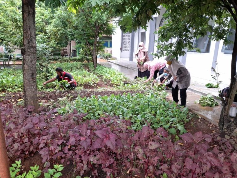 Edukasi Cocomesh untuk Kampanye Penghijauan Remaja